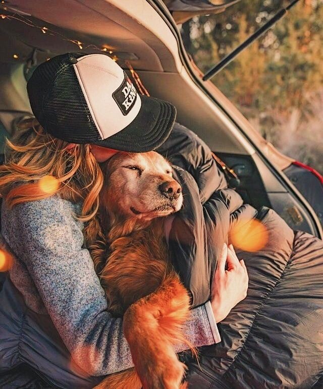 5 Reasons Why Taking Your Pets Camping is a Must!