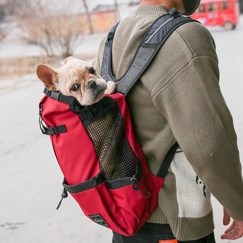 Pet backpack"🐕🎒 Pet Backpack Carrier – Breathable & Escape-Proof for Cats/Small Dogs | Lightweight Travel Bubble Bag"