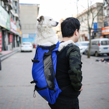 Pet backpack"🐕🎒 Pet Backpack Carrier – Breathable & Escape-Proof for Cats/Small Dogs | Lightweight Travel Bubble Bag"