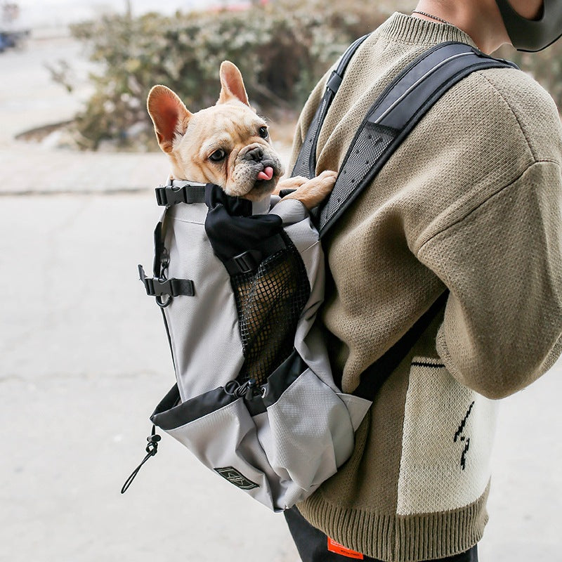 Pet backpack"🐕🎒 Pet Backpack Carrier – Breathable & Escape-Proof for Cats/Small Dogs | Lightweight Travel Bubble Bag"